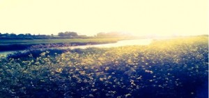 Palagiano (Taranto) &ndash; Sulla messa in sicurezza del fiume Lato si parla di interventi concreti, soddisfazione di Vico