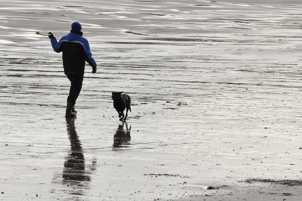 Un pancione, un volpino, una spiaggia - poesia di Filippo Passeo