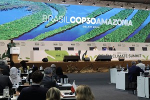  Verice sul cima a Belem (Brasile)