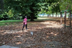 Porsegue la novembrata con caldo anomalo 