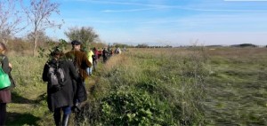 Il nostro riscaldamento globale quotidiano