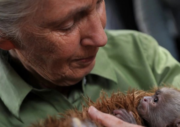 Jane Goodall