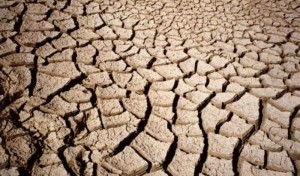 Siccità, Italia a secco: tre regioni in codice rosso, fiume Po sotto la media di 1,5 metri