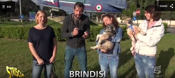 Taranto &ndash; Dal canile di San Giorgio Jonico a Mascotte Star di Striscia la Notizia a Canale 5