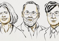  I premi Nobel per la Medicina Brunkow, Ramsdell e Sakaguchi