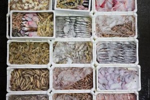 Per l'Adriatico 'non c'&egrave; scampo'. Pesca gi&ugrave; del 54% in 5 anni