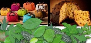 Taranto - Prenota con noi i tuoi panettoni artigianali per Natale: sono buonissimi e ... aiuti a piantare alberi!