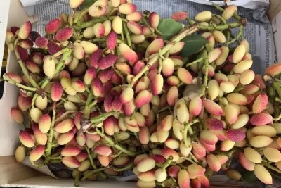  Del vino al pistacho, un viaje por los sabores de Sicilia