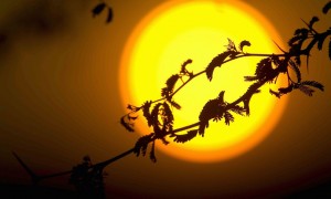 L&#039;Universo sta diventando sempre più caldo