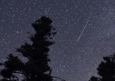 stelle cadenti