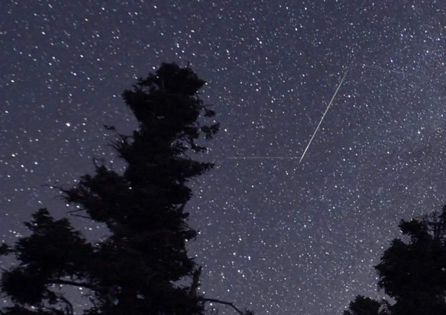 stelle cadenti