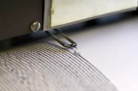   (Foto a corredo articolo Ansa)