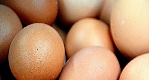 In Italia sette casi sospetti di contaminazione, sotto sequestro 90mila chili di uova