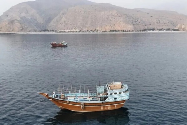 Mercantili nello Stretto di Hormuz    (Foto a corredo articolo AGI)