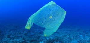 Legambiente: &laquo;Troppe bufale e inesattezze sui sacchetti biodegradabili&raquo;