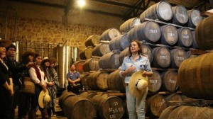 Paraguay exhibir&aacute; sus misiones jesu&iacute;ticas y su ruta de la ca&ntilde;a en Fitur 2017