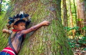 Venezuela - Appello della Chiesa: &egrave; responsabilit&agrave; comune la tutela ambientale dell&rsquo;Amazzonia