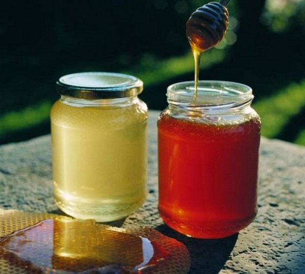 Apicoltura, la Regione Toscana approva un pacchetto da 180mila euro per i "nomadisti"