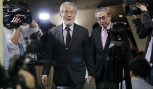 El cient&iacute;fico japon&eacute;s Yoshinori Ohsumi, premio Nobel de Medicina 2016