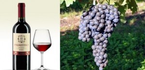 Vino: Stef&agrave;no, &laquo;Primitivo conquista la Casa Bianca&raquo;