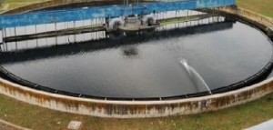 Verdi di Manduria (Ta) - Sul depuratore rispondono al sindaco di Sava "opporsi non &egrave; per capriccio o populismo"