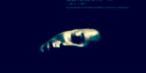 Caserta - "Molti": mostra del fotografo Antonio Biasiucci sui volti sofferenti dei migranti