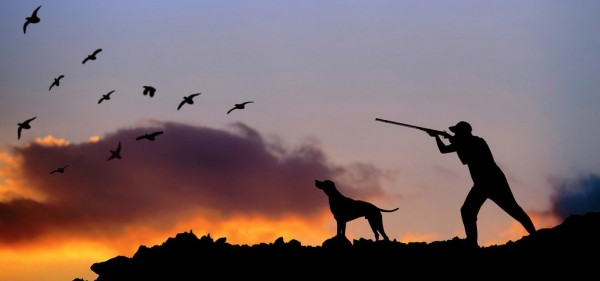 Caccia: WWF, al via le &lsquo;preaperture&rsquo; nonostante l&rsquo;Europa e i dati scientifici siano contro
