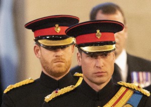 William e Harry