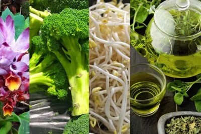  Algunos alimentos que ayudan a la longevidad.