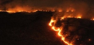 Amazzonia brucia il WWF chiede 4 cose urgenti da fare