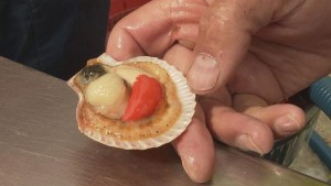 Acquacoltura, il nuovo "green-business "