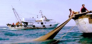 Pesca, D'Amato (M5s): stop Ue a indennizzi per fermo 2018 inaccettabile, un ricatto sulla pelle di migliaia di famiglie