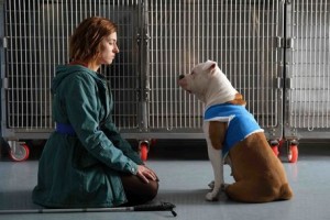 Maria Chiara Giannetta