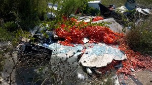 Taranto - A Pezzavilla ancora discariche, video-sorveglianza contro gli sozzoni
