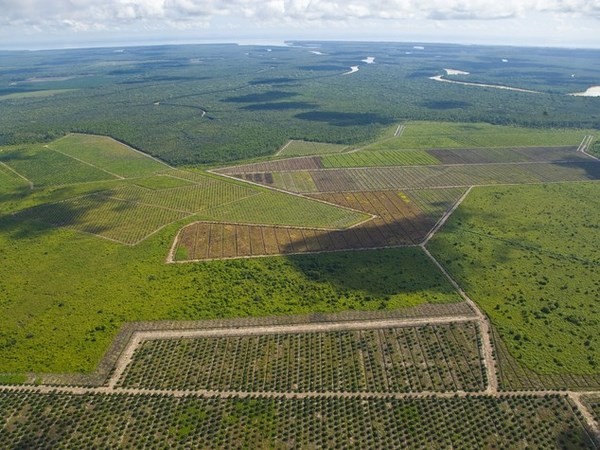 L&#039;Italia ha pronta una legge all&#039;avanguardia per combattere il consumo del suolo. Ma è bloccata da 11 mesi