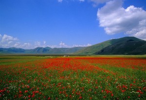 Ultima chiamata per la fragile Italia, non bisogna perdere tempo