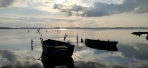 Taranto -L&#039;istituzione del Parco del Mar Piccolo un&#039;occasione per la città