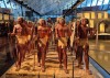 Museo egizio Gem