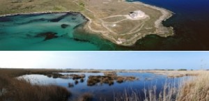 Taranto - Domenica 22 aprile visita guidata alla Riserva naturale di Torre Guaceto
