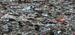 Rifiuti, D'Amato (M5S): chiuse 7 discariche abusive al Sud, grazie a Costa risparmiate multe Ue per 3mln di euro