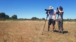 Al parco dell&rsquo;Aspromonte parte il monitoraggio dei rapaci in viaggio verso l&rsquo;Africa