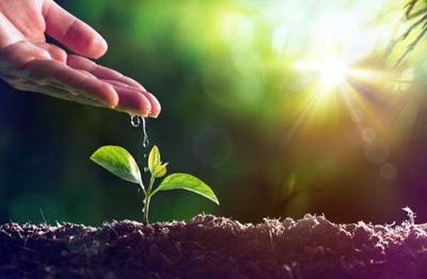 Biogas, il modello italiano fa scuola: pi&ugrave; cibo ed energia, sostenibilit&agrave; e competitivit&agrave;