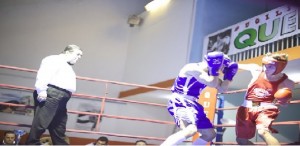 La grande boxe a Taranto: nel weekend il &laquo;VI&deg; Memorial Donato Carelli&raquo;