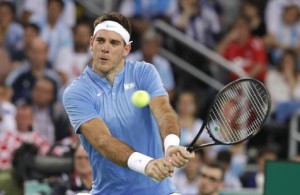 Juan Mart&iacute;n Del Potro 