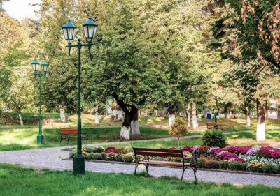 Alberi e Parchi e bambini in festa, tra Ferrara, Roma e Napoli