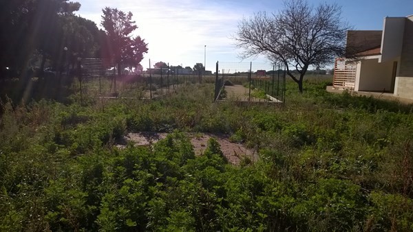 Taranto &ndash; Il centro di aggregazione di Lama aggredito dall'ecosistema