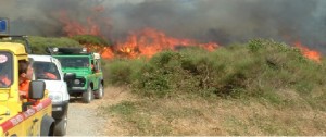 La Toscana combatte contro gli incendi 8 roghi nella giornata di ieri