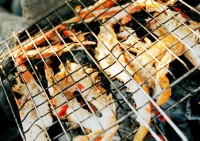 Ferragosto: picnic e grigliate per 7,5 milioni di italiani