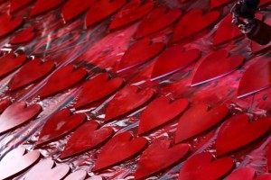  San Valentino a Erbil, in Kurdistan