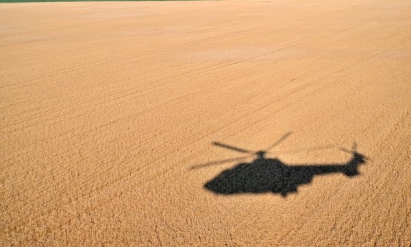 Un campo di grano in Ucraina